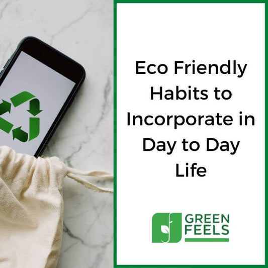 25 Eco Friendly Habits You Should Incorporate in Your Day To Day Life