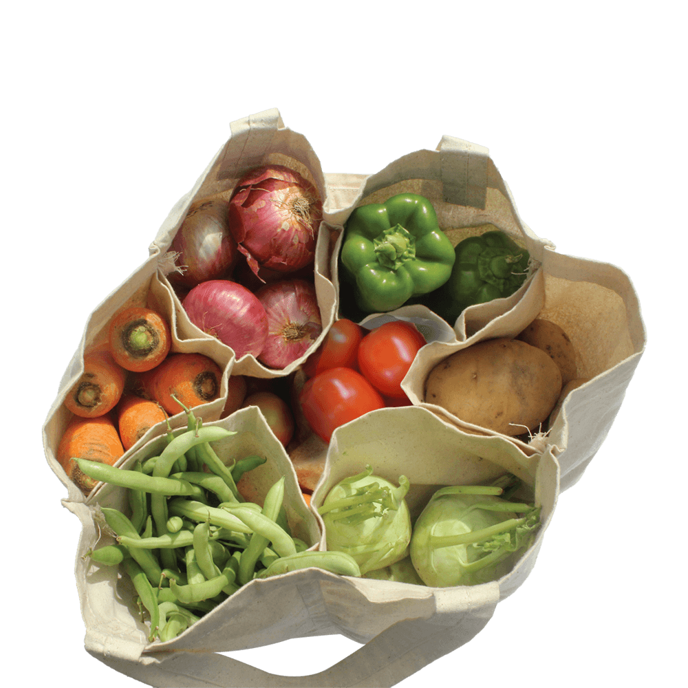 Buy EcoBuddy Reusable Vegetable Bag with 6 Compartment Online in India