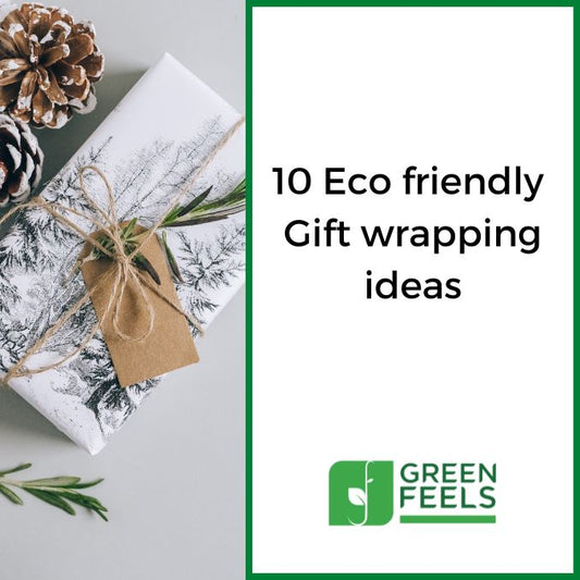 10 Eco Friendly Gift Wrapping Ideas