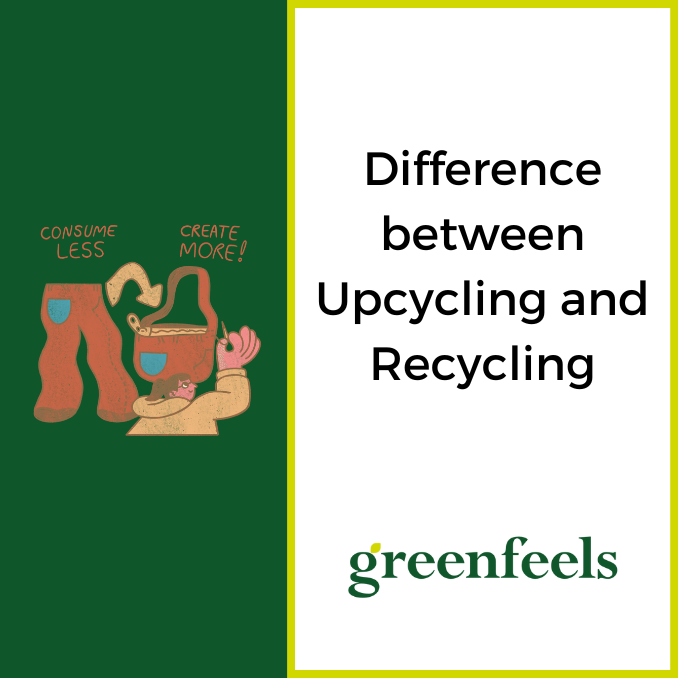 Difference Between Upcycling And Recycling