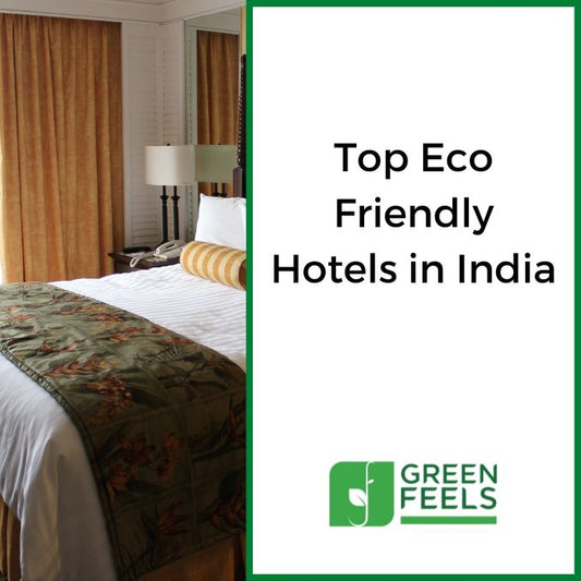 14 Eco Friendly Hotels in India That Inspires Sustainability