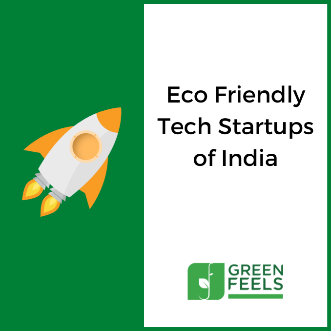 
eco-friendly startups