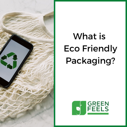 What is Eco-Friendly Packaging? Why is it the Need of the Hour?