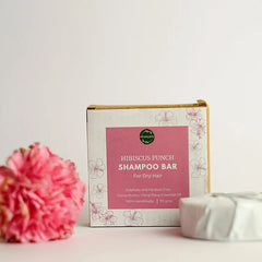 Hibiscus Punch Shampoo Bar- Dry & Frizzy hair