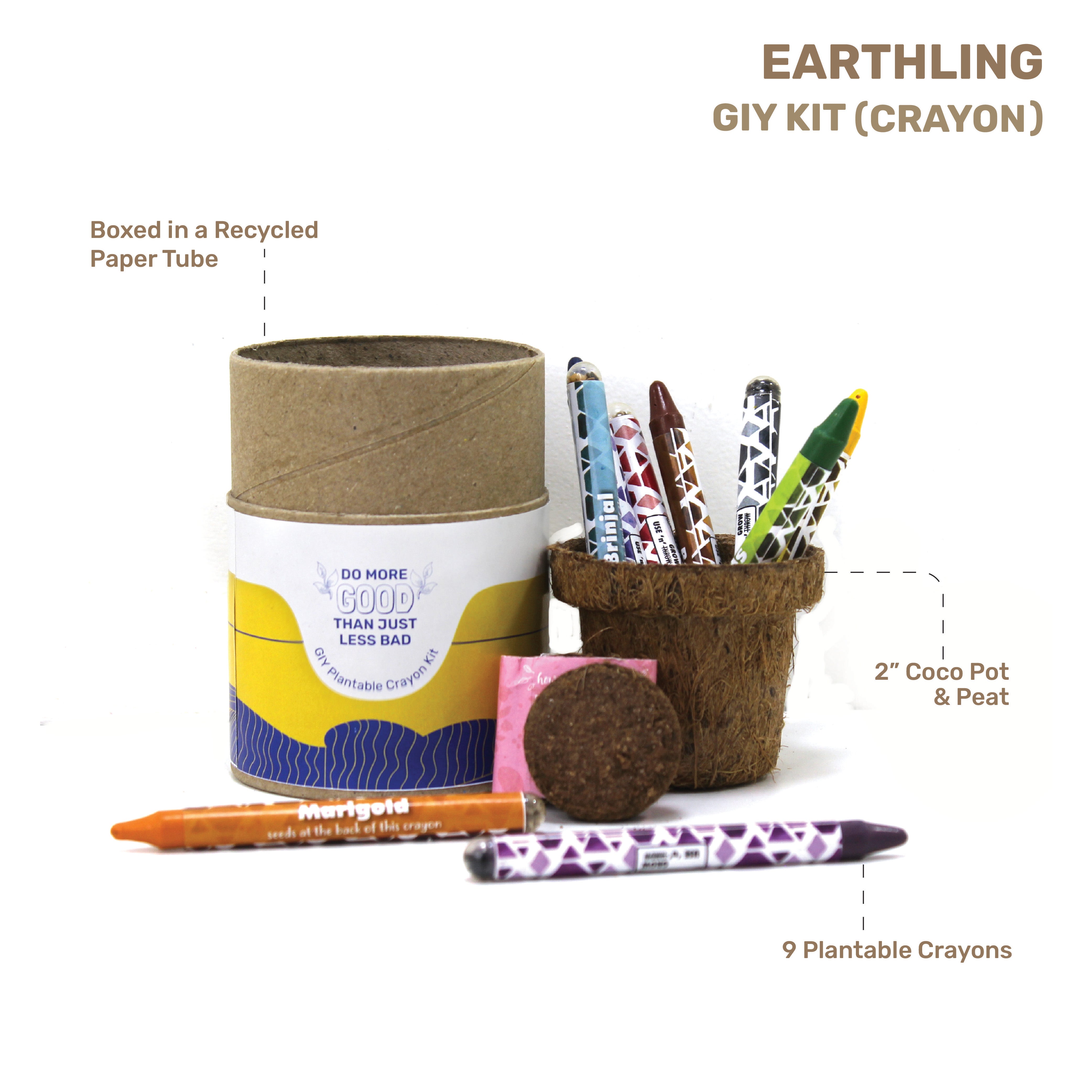 Plantable Stationery starter kit- eco gifts-Bulk buy