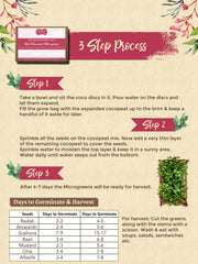 DIY microgreens kit-Amaranth-Eco friendly gift