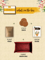 DIY microgreens kits-Mustard-Eco friendly gift