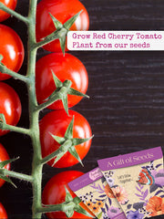 Gift of seeds-Red cherry tomato seeds