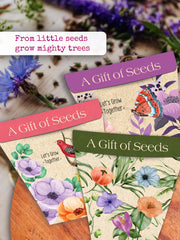 Gift of seeds-Spicy chilli seeds