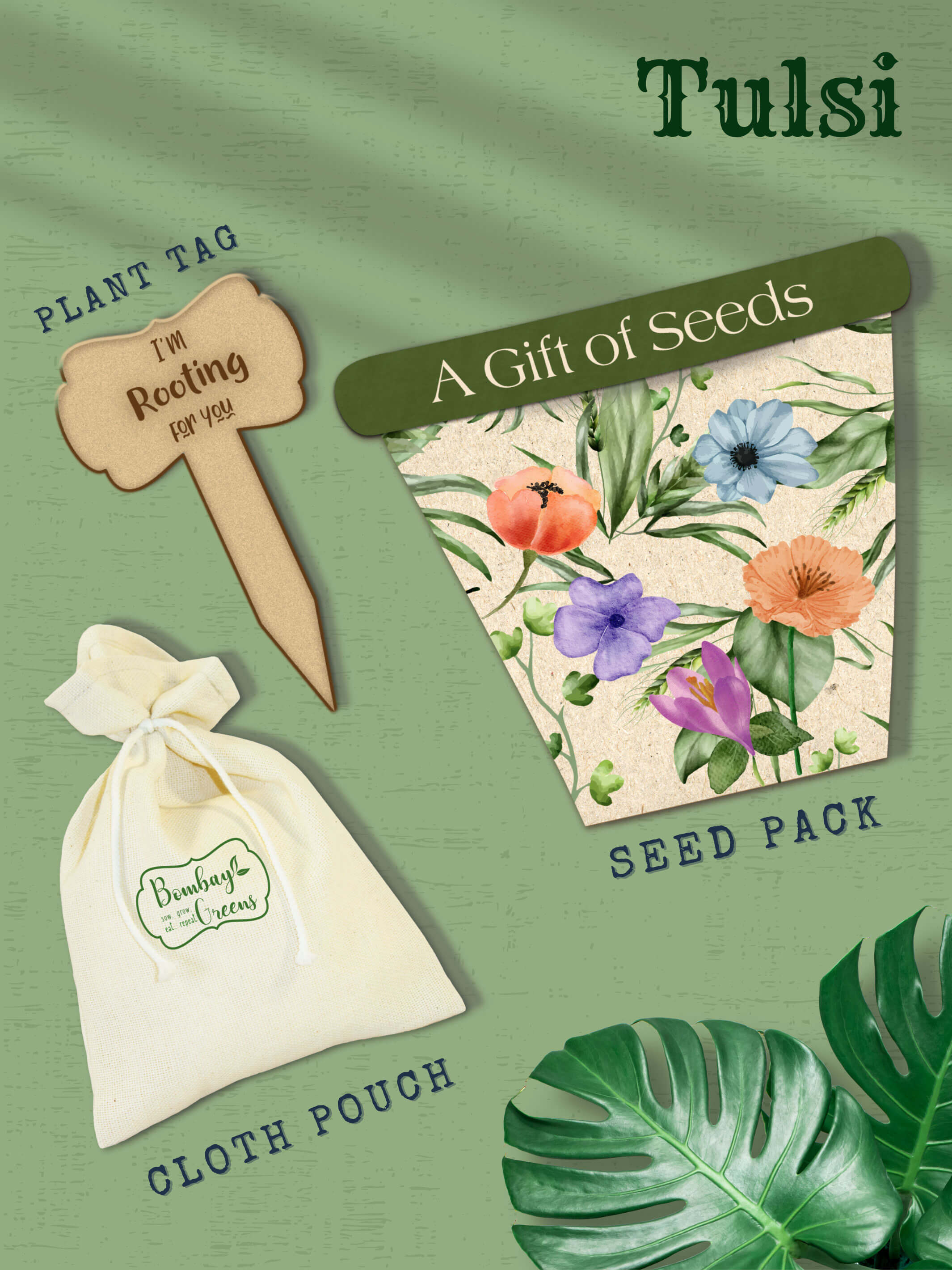 Gift of seeds-Tulsi