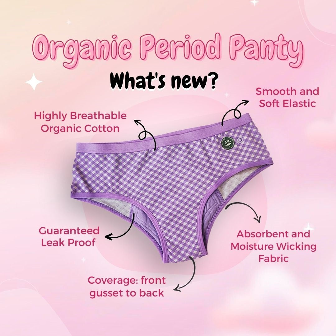 Organic Period Panty (Hipster)