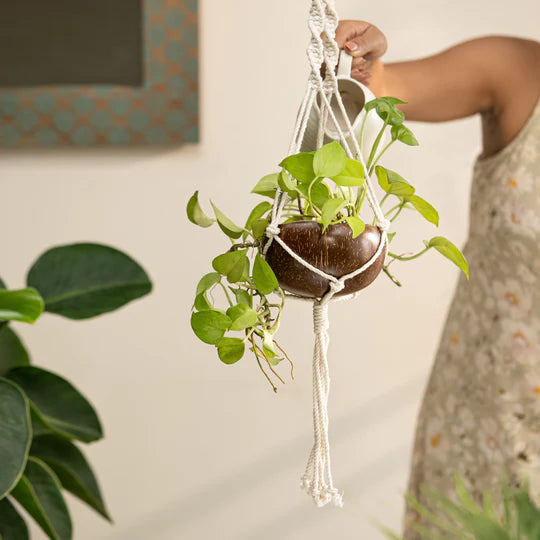 Coconut Shell macrame Hanging Planter for Indoor Plants & Succulents