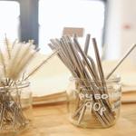 Stainless Steel Straw with cleaner