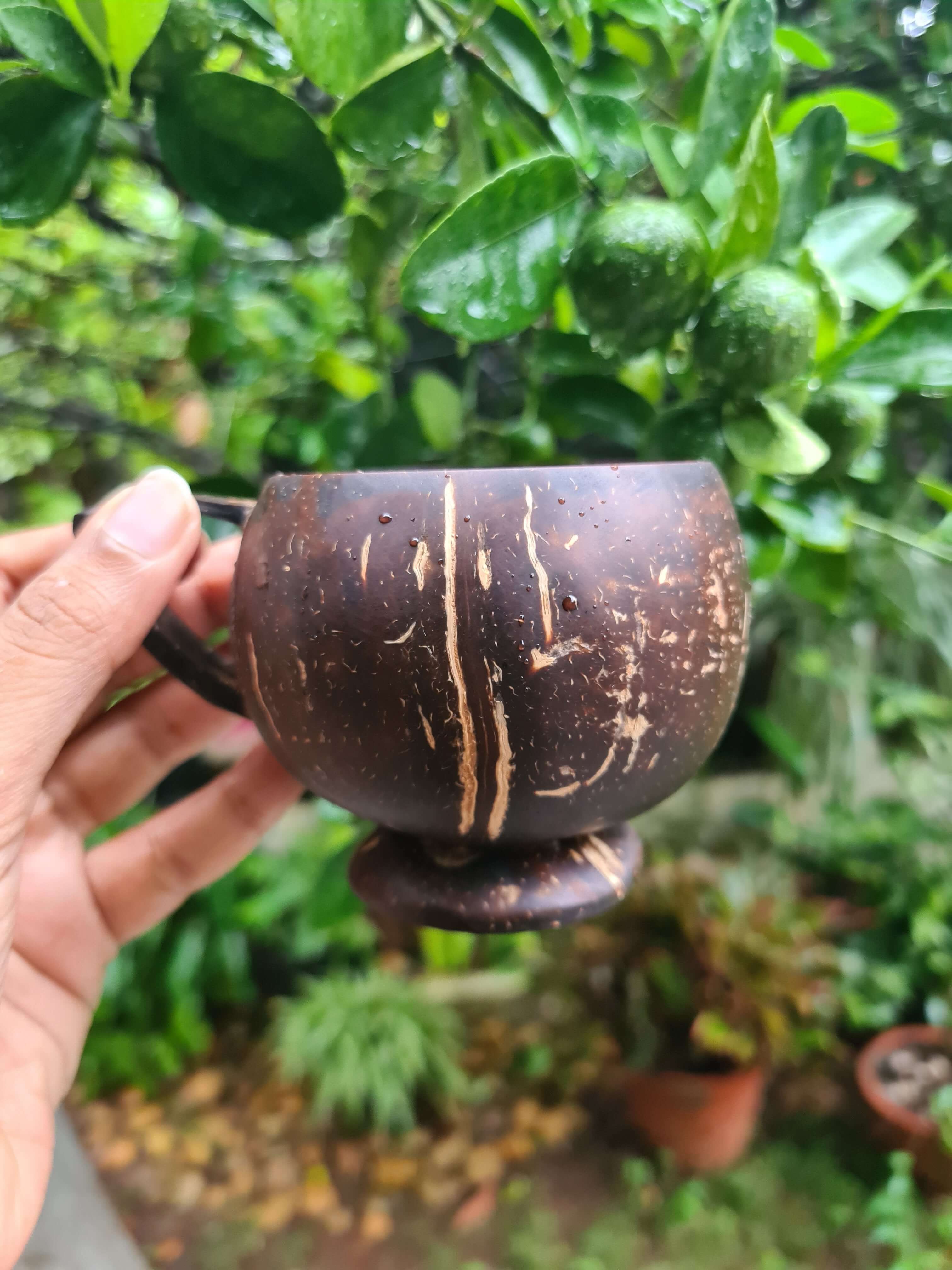 Coconut Teacup - Set of 2