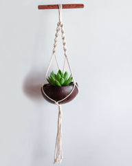 Coconut Shell macrame Hanging Planter for Indoor Plants & Succulents