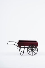 Iron and wood cart planter- Unique eco gifts