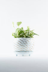 Nature inspired metal planters with tray