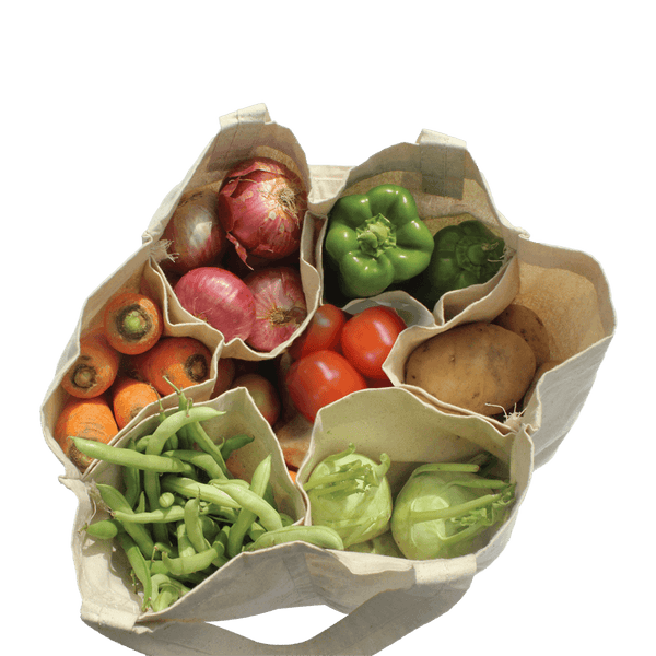 Buy EcoBuddy Reusable Vegetable Bag with Compartment Online in India